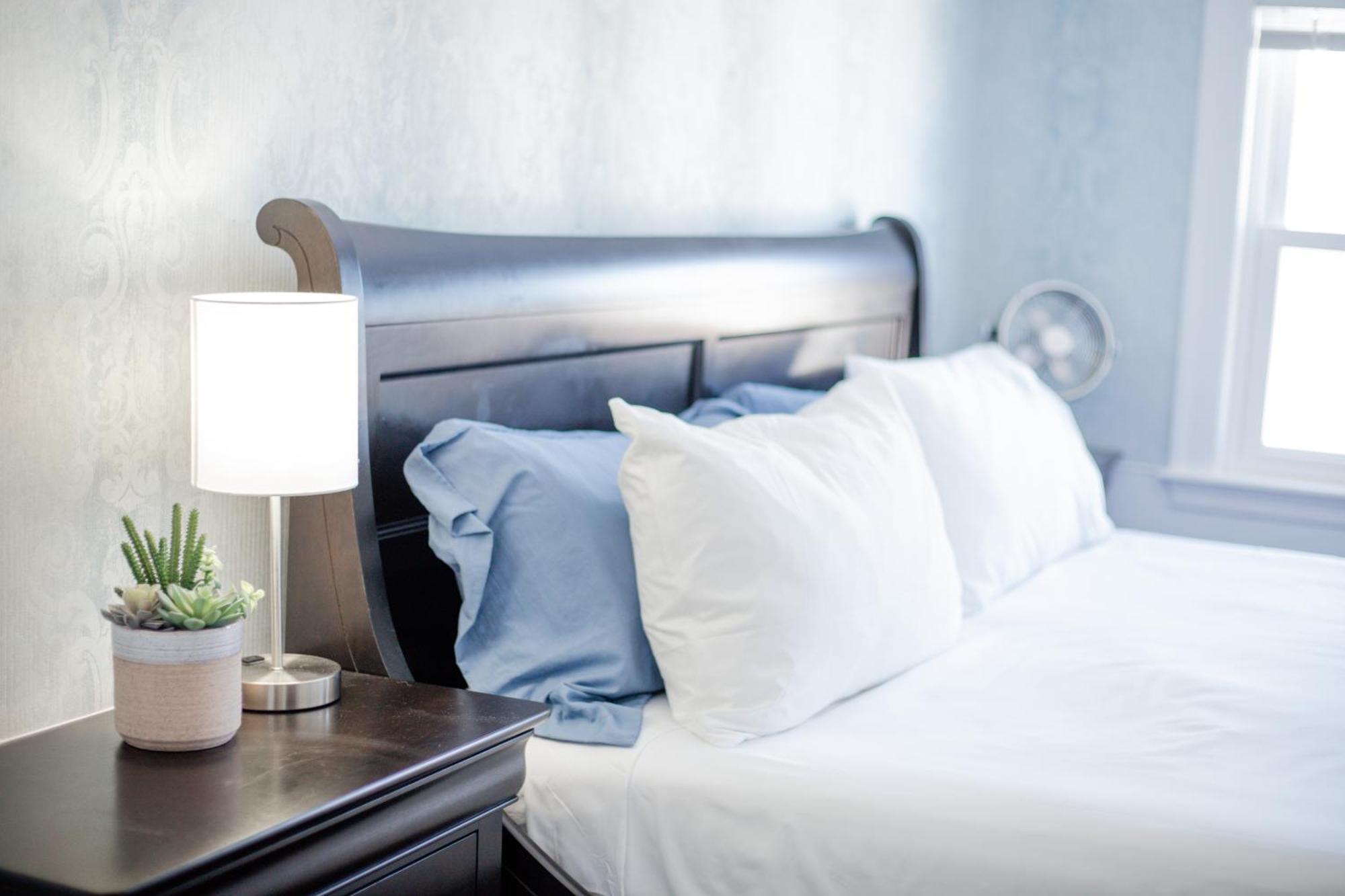 Blue Bear Inn Francestown Экстерьер фото